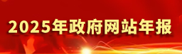2025年政府网站年报